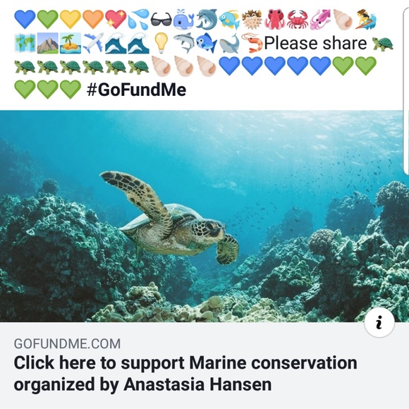 https://www.gofundme.com/turtlelove-marine-conserv - Picture 2 of 2